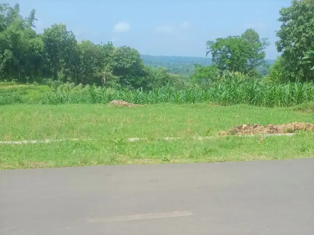 Tanah Subur 1370m² Cocok Untuk Kebun Karanganyar