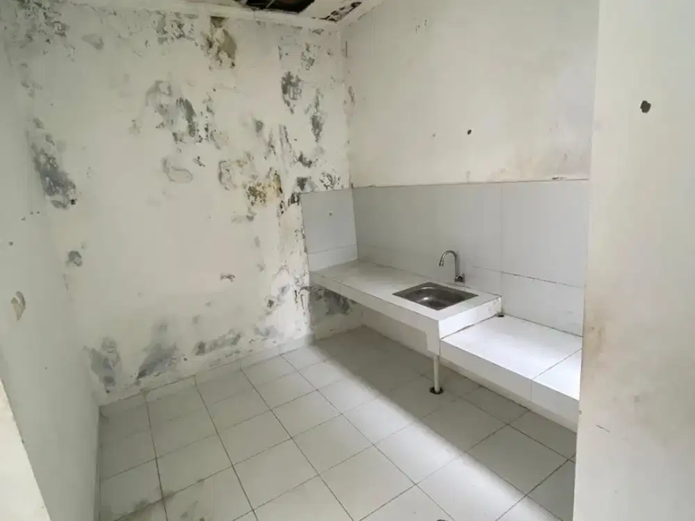 Rumah LT 550 Hadap Timur 10 Mnt ke Living Pamulang Siap KPR J-46123