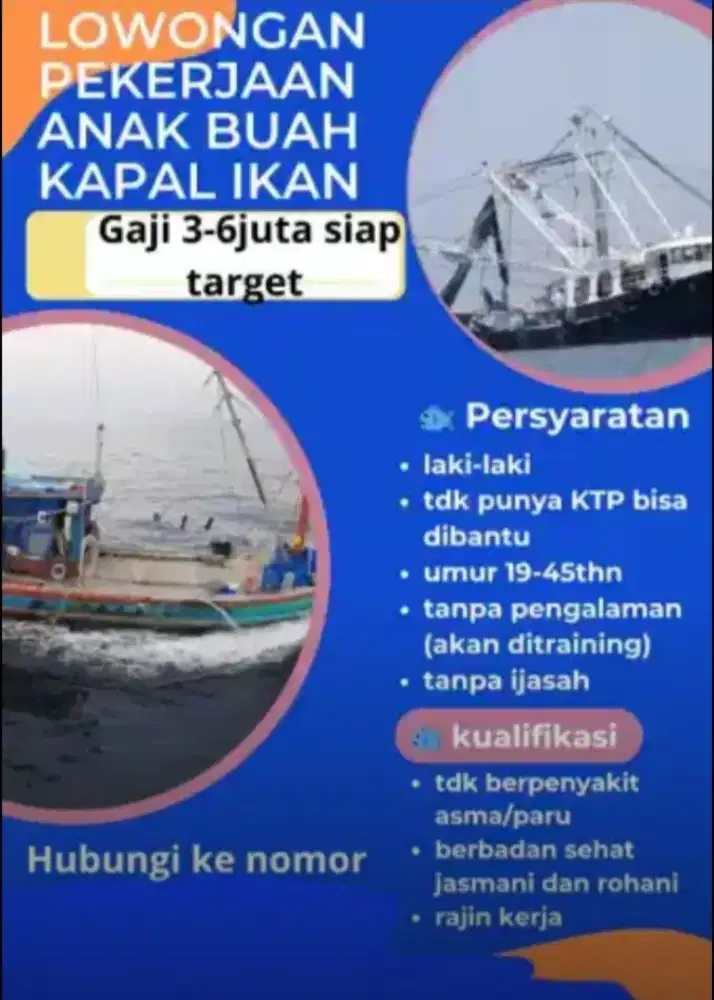 Loker abk kapal cumi