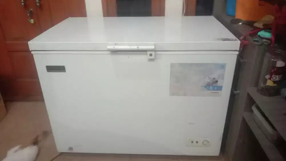 Freezer modena 300L