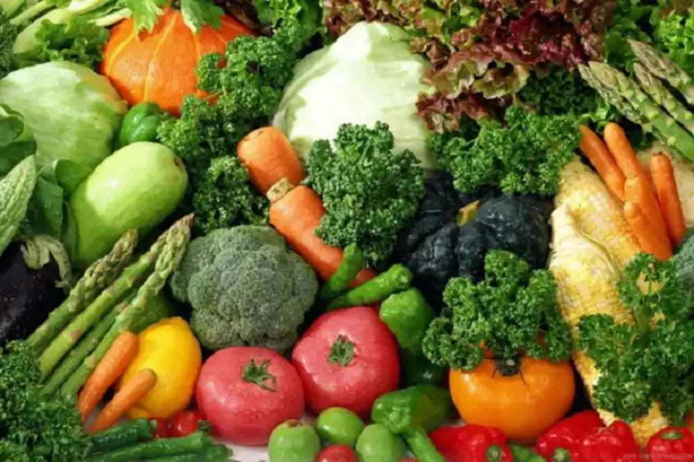 Lowongan Kerja Bagi Yang Serius Kerja