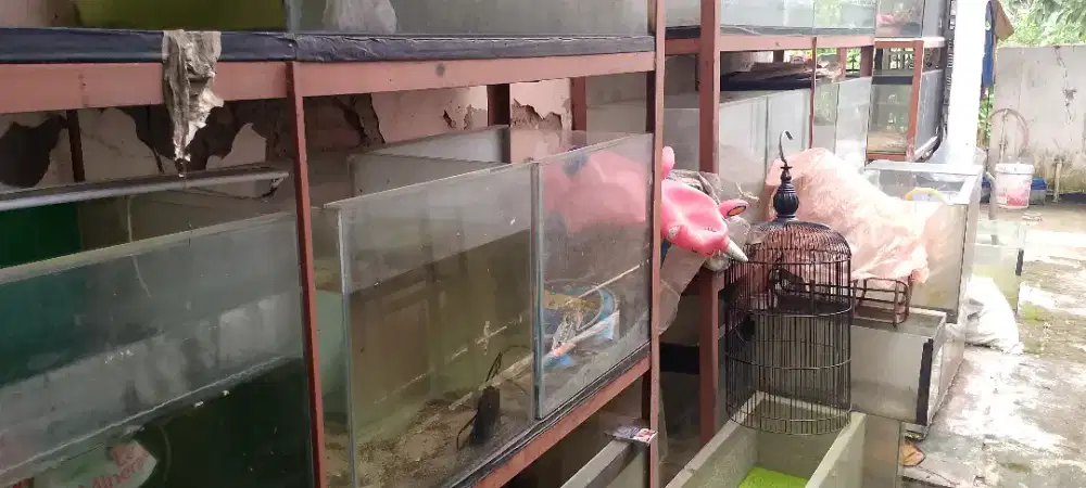 AQUARIUM DAN RAK BESI