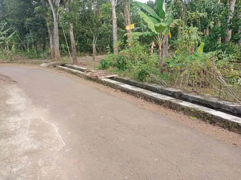 Dijual Tanah Pinggir jalan di Kalijati Subang dekat exit tol kalijati