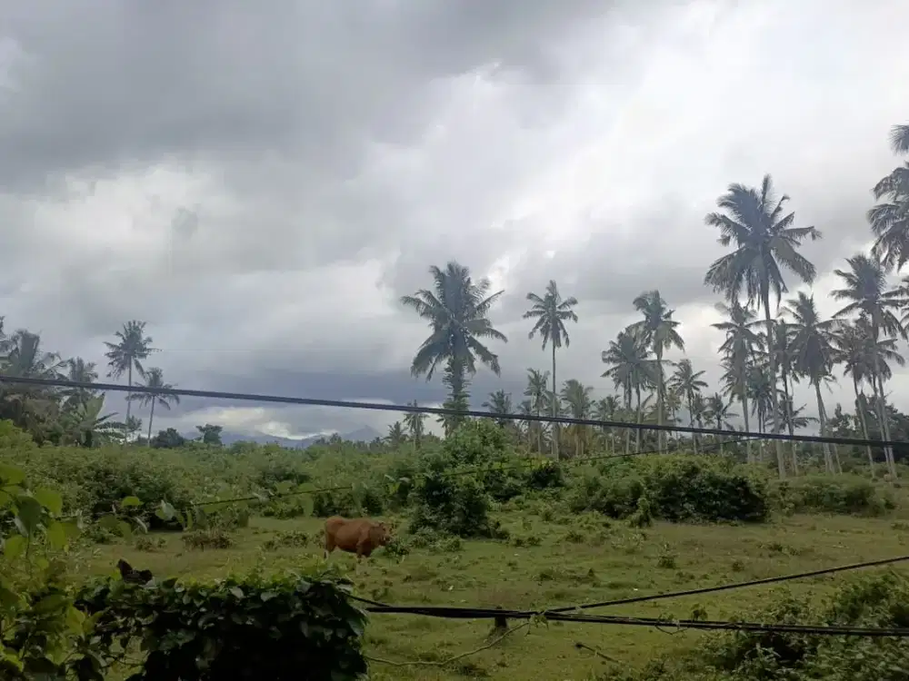 DIJUAL TANAH STRATEGIS AREA KALIAKAH JALAN UTAMA DENPASAR – GILIMANUK BALI