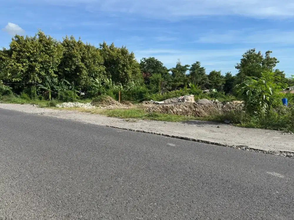 Tanah tepi jl Monumen Perjuangan, Harga 3 Jutaan 100 meter RSU Rajawali