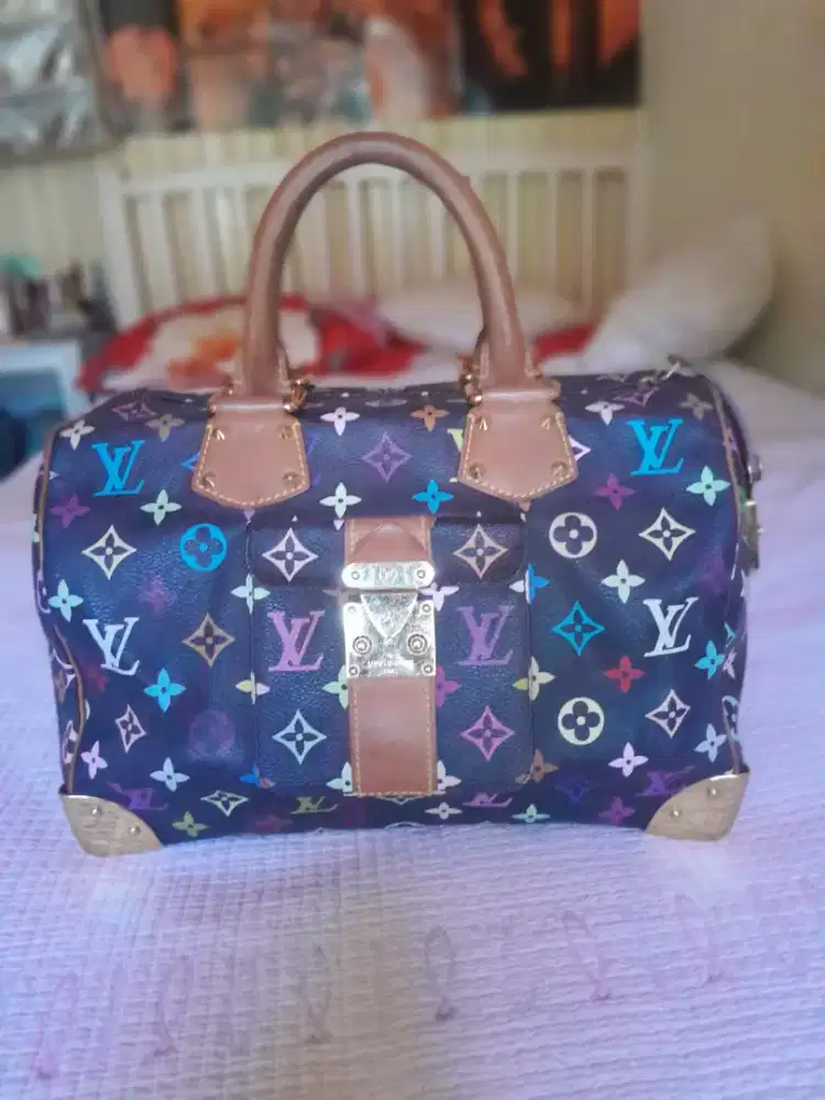 Tas LOUIS VUITTON LV MULTICOLOR