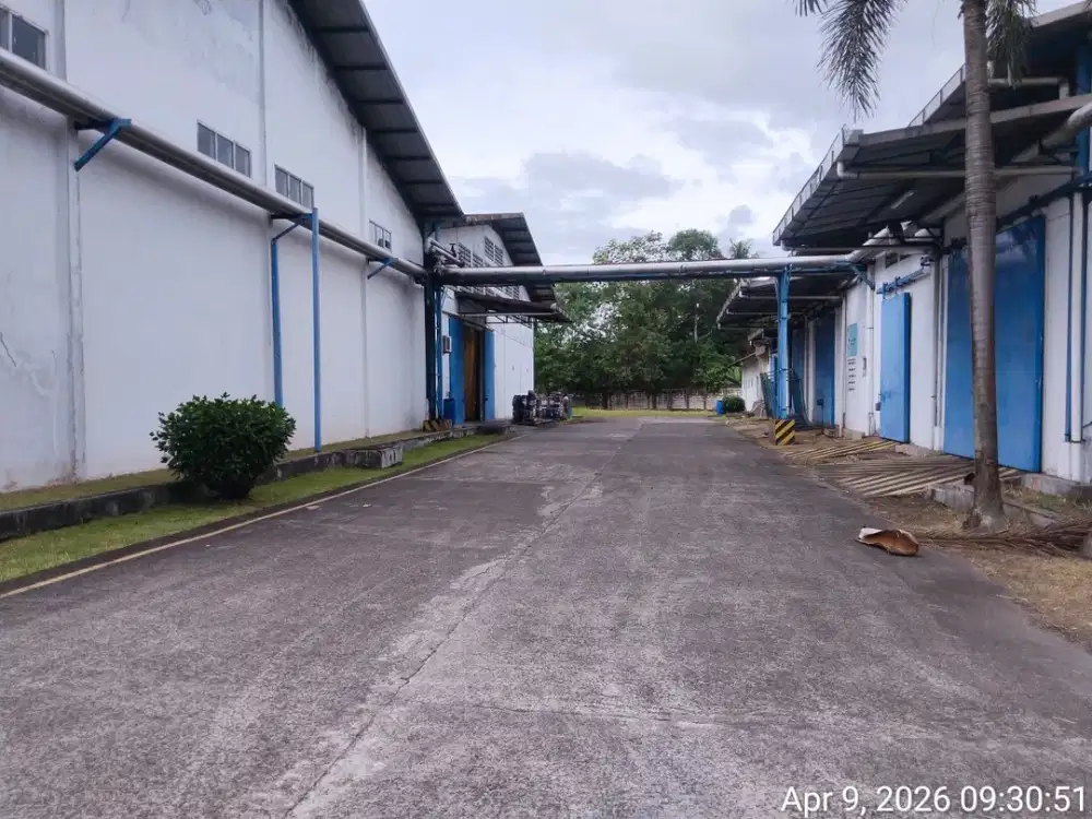 Sewa gudang JL Pemda Tigaraksa,Cikupa, Kadu Agung, Kec. Tigaraksa