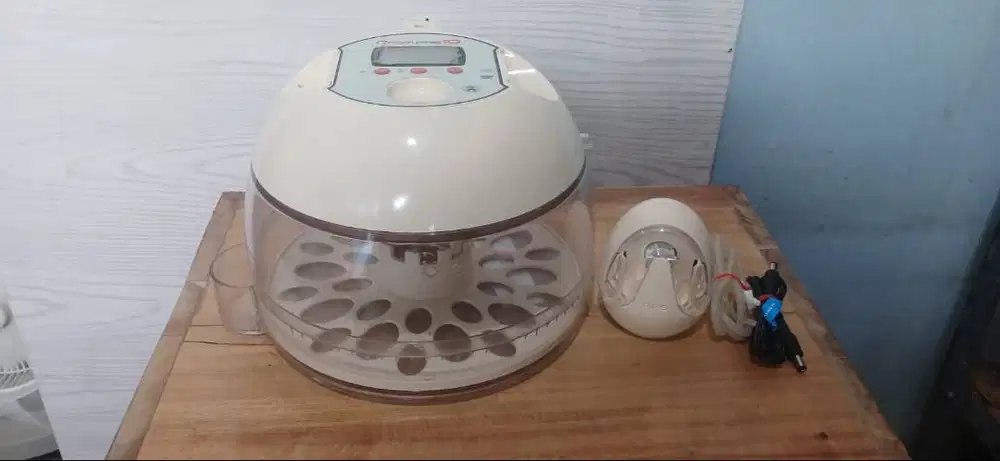 Inkubator Mesin Tetas Rcom10 Parbeng Parrot Macaw Conure