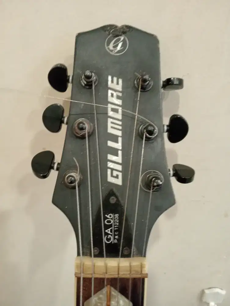 Akustik Electrik Gillmore GA06