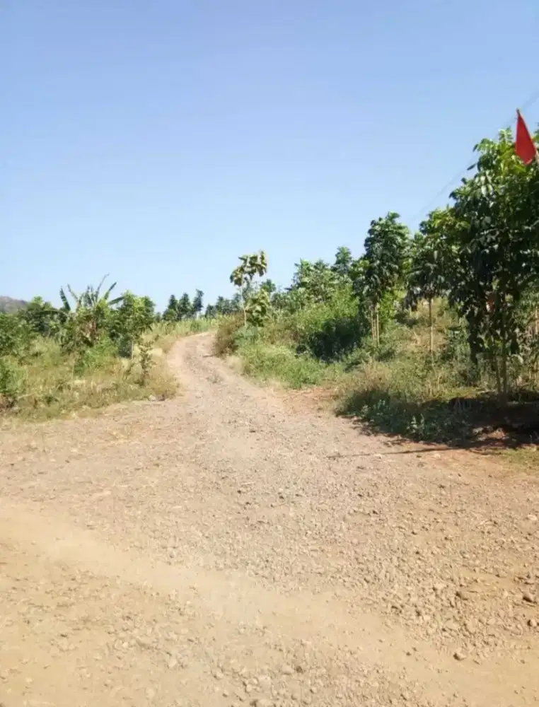 Tanah di weleri kabupaten kendal