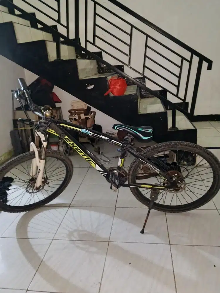 Sepeda excotic bekas