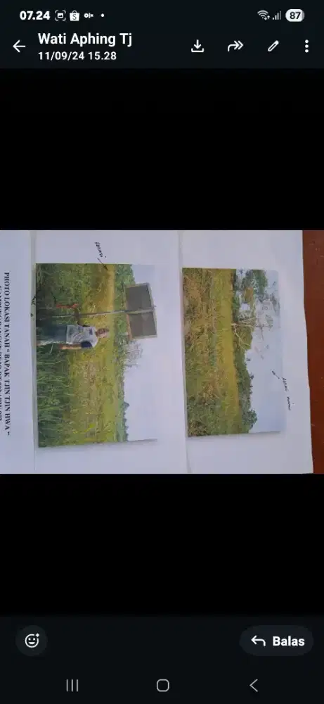 Di jual tanah darat sebelas hektar bisa beli per hektar