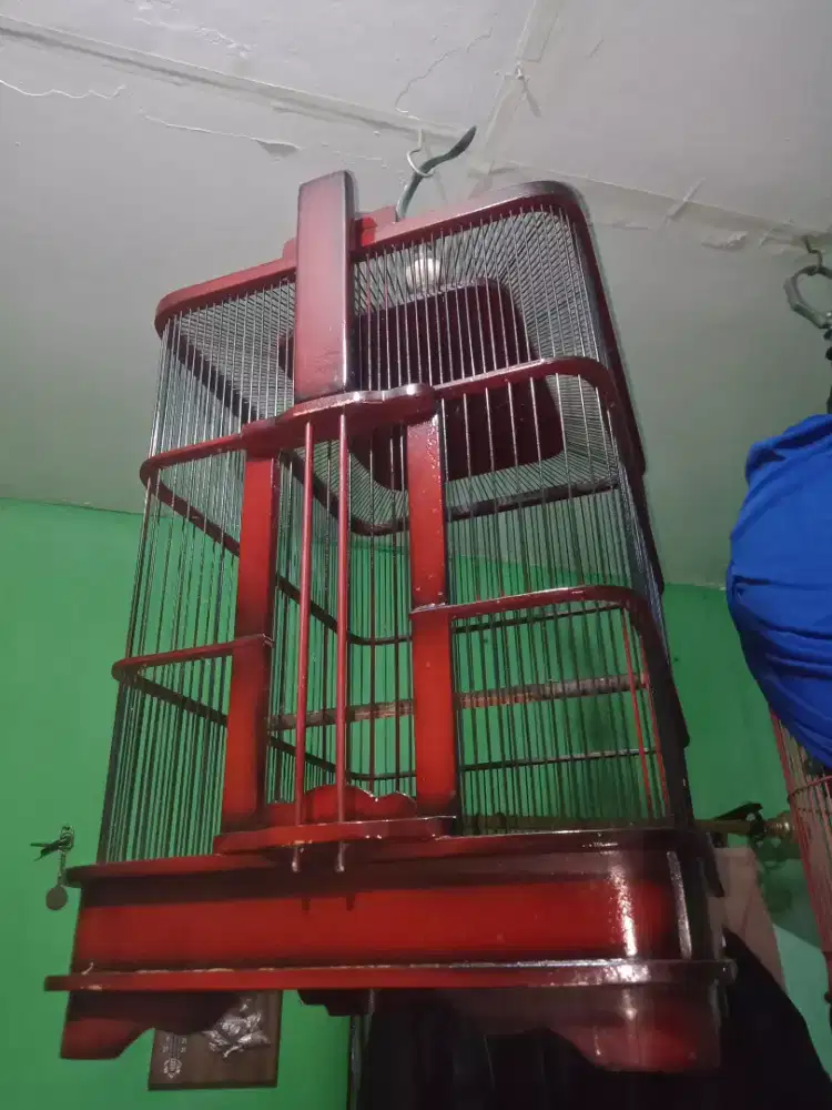 kandang cungko msih oke