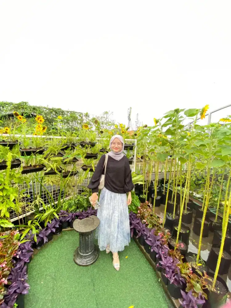 Saya mencari pekerjaan