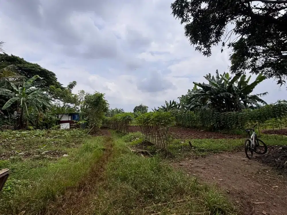 DIJUAL LAHAN / TANAH DI RAWA KUTUK - PONDOK JAGUNG -ALAM SUTERA
