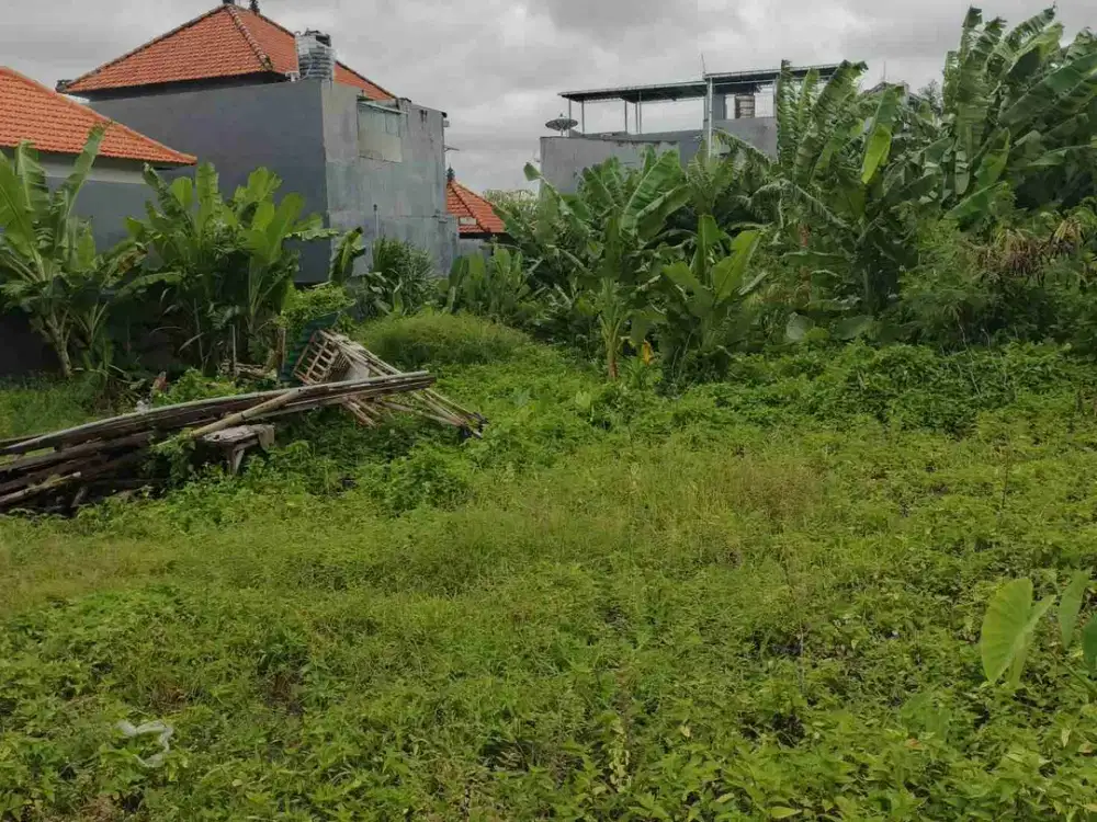 tanah jalan raya Canggu bali