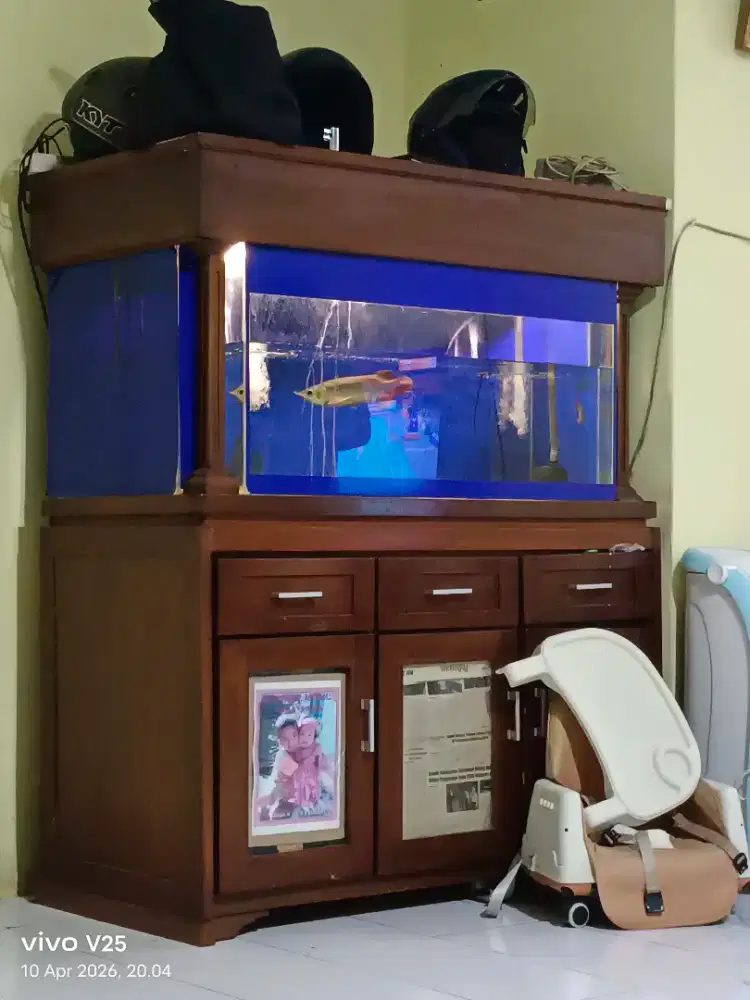 Aquarium 120 x60x55cm plus arwana super red 24cm ambil semua