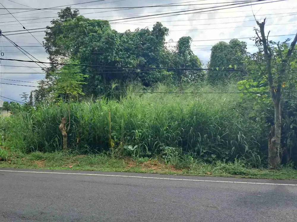 DIJUAL CEPAT TANAH SANGAT STRATEGIS DAERAH TIKALA, HARGA SANGAT MURAH