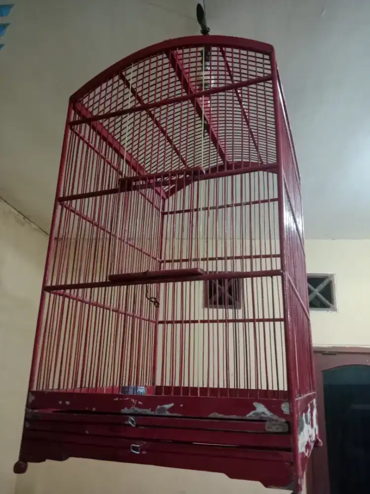 Jual 4 sangkar layak pakai