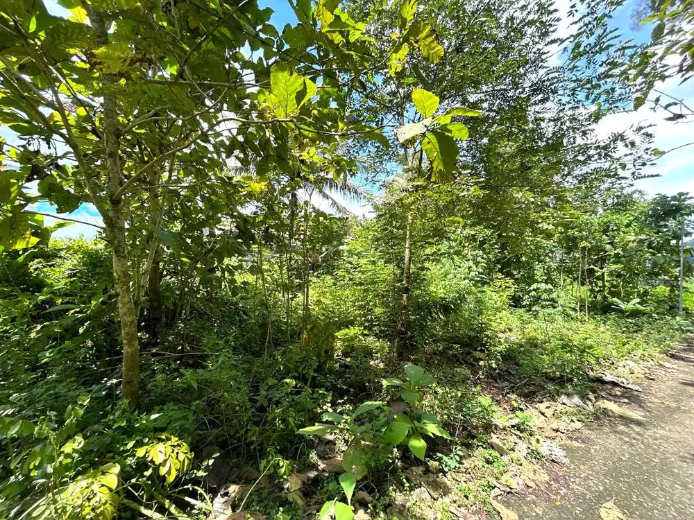 Tanah Pekarangan di Pajangan dekat Jalan Krebet