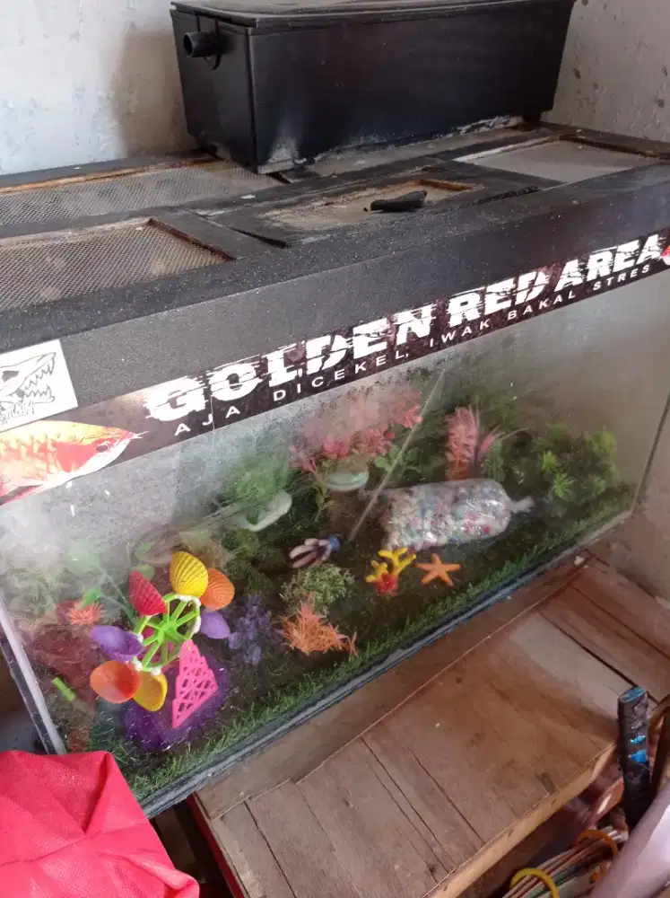 Aquarium tank Uk 60x30x35