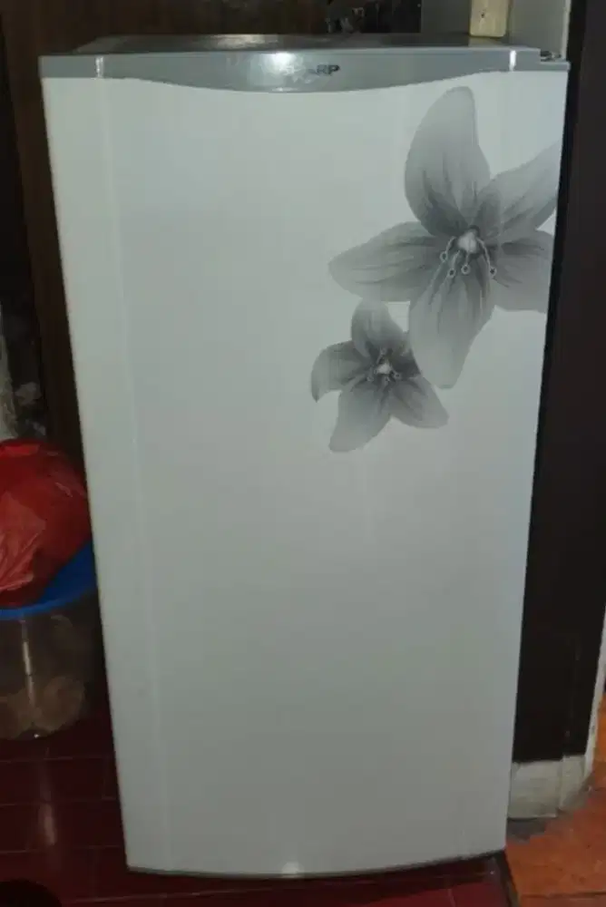 DIJUAL KULKAS 1 PINTU