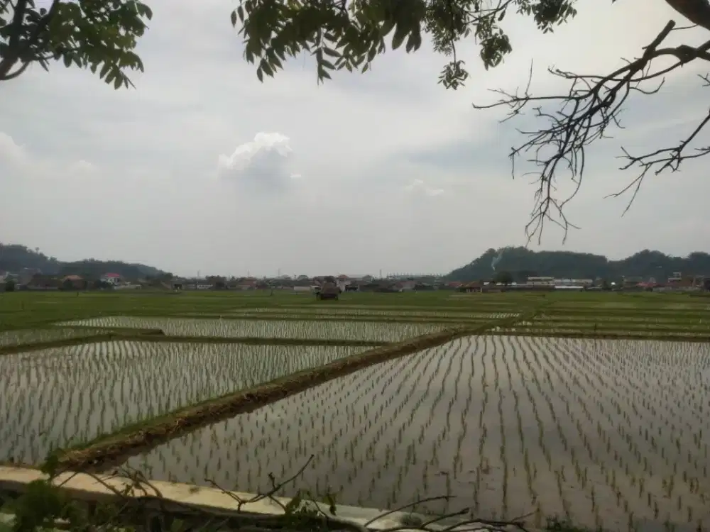 cari kerjaan yang ada mess