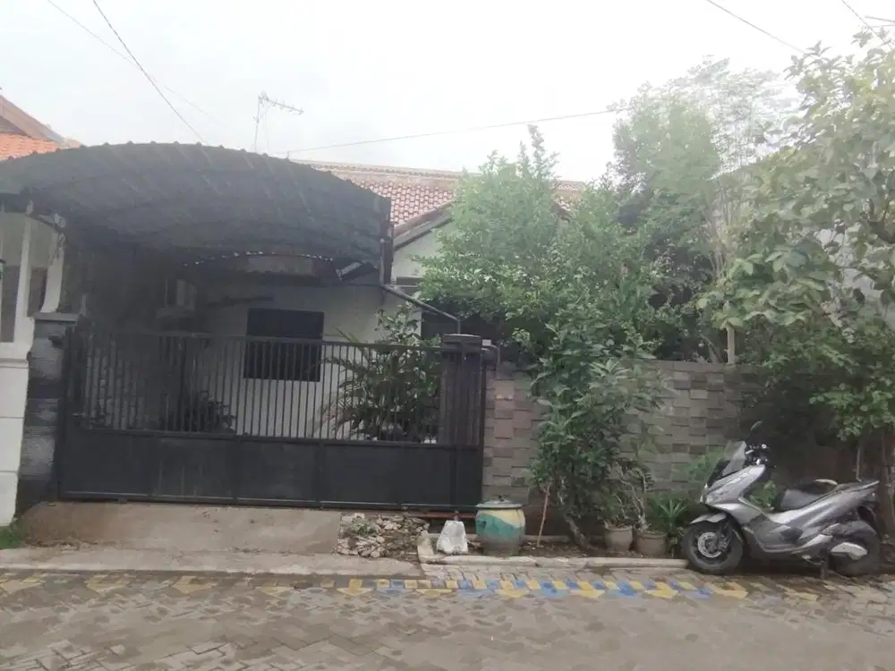 Murah 1.5lt (10x14) di Kalikepiting