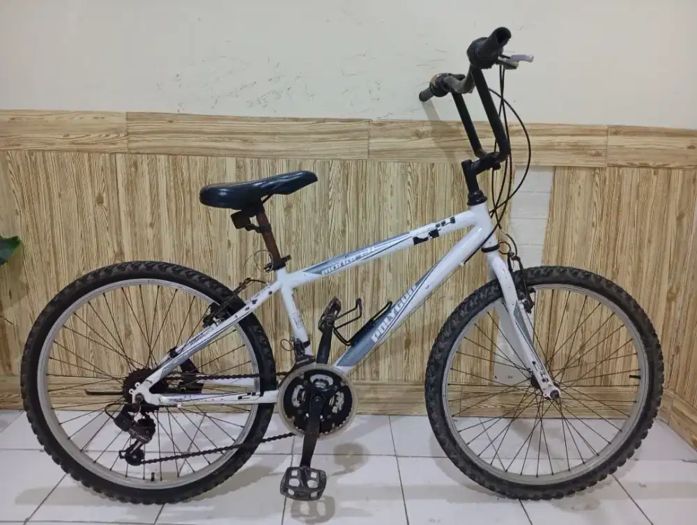 Polygon Monarch uk 24