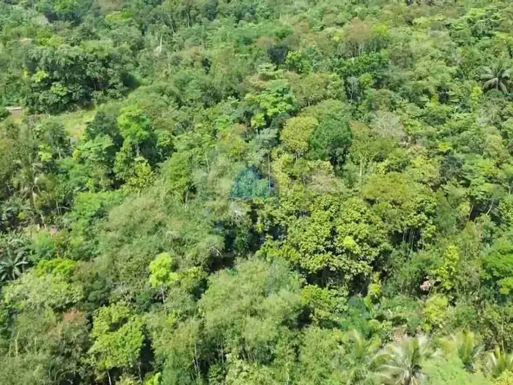 Jual Tanah di Kecamatan Cibadak, Lebak - Banten