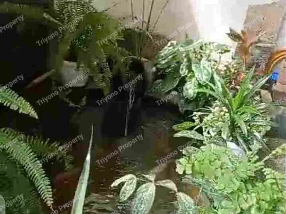 Rumah murah Tangerang