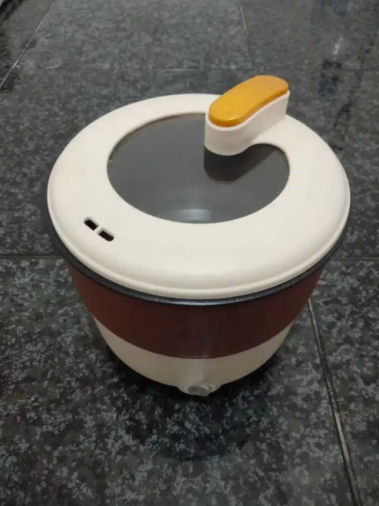 rice cooker mini