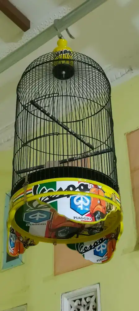 Kandang Lovebird like new