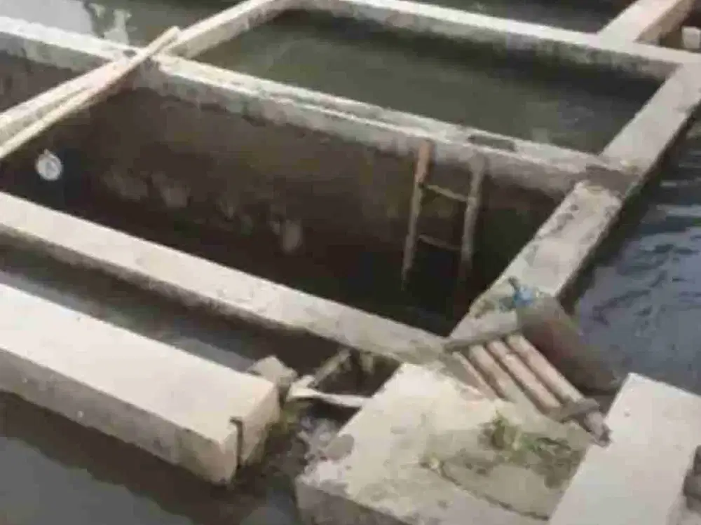 Dijual Kolam ikan air deras 9 jalur & rumah Cijambe Subang