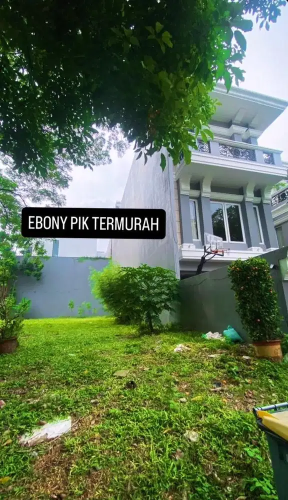 EBONY PIK TERMURAH TURUN HARGA 5 JUTA