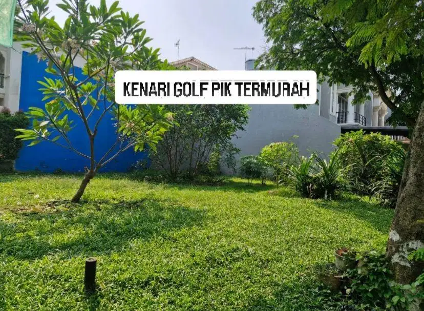 TURUN HARGA KENARI PIK TERMURAH