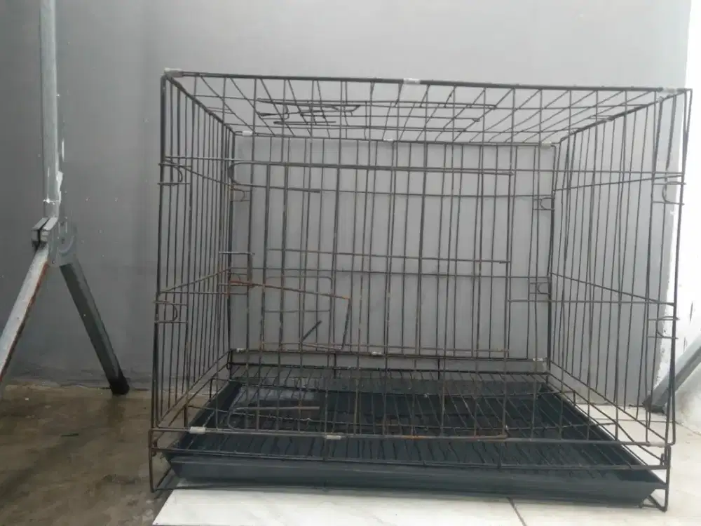 dijual kandang kucing