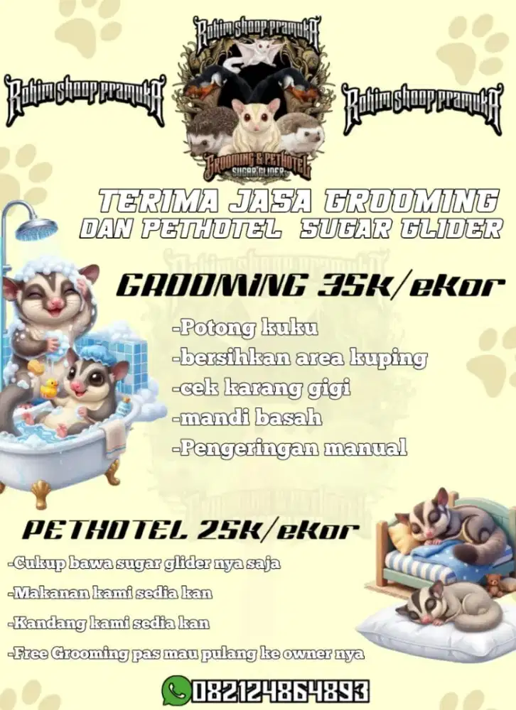 Grooming sugar glider