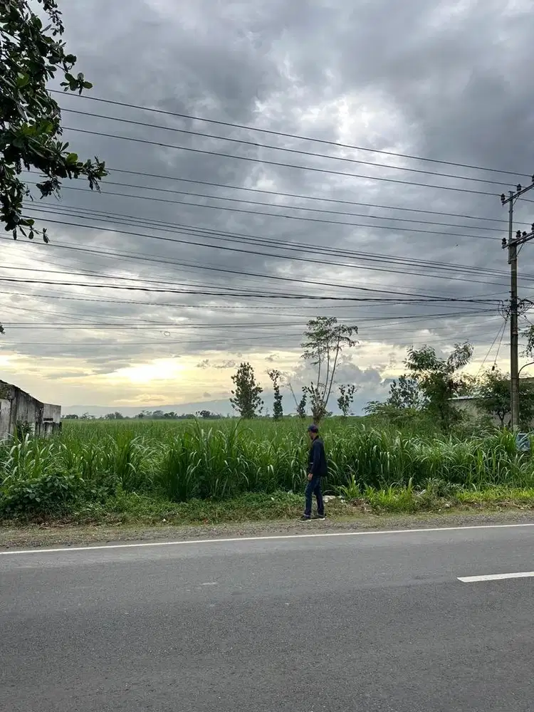 Di jual tanah jalan raya provinsi