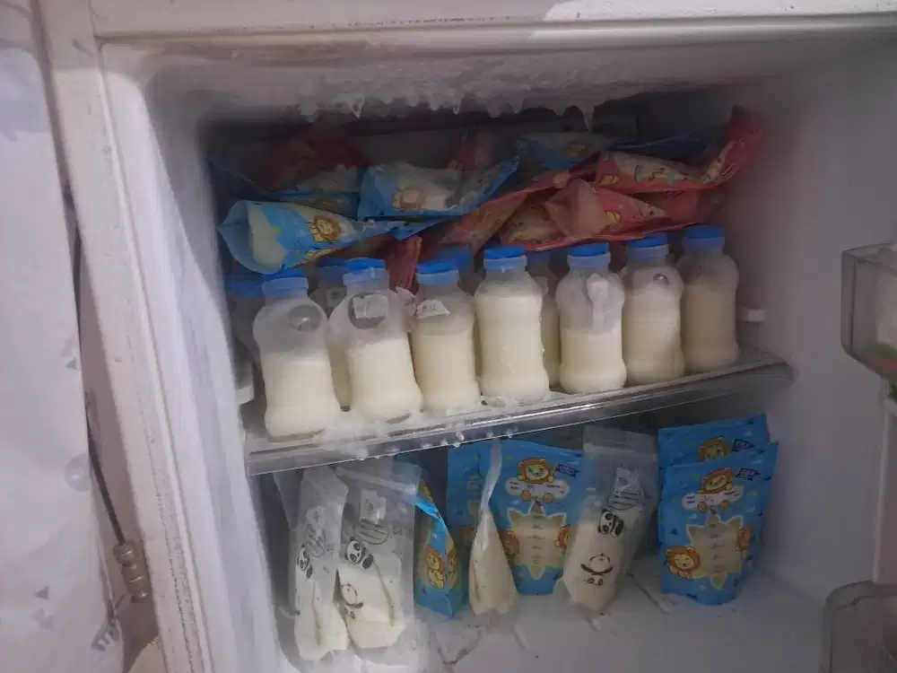 Lowongan Kerja Sebagai Asisten Rumah Tangga