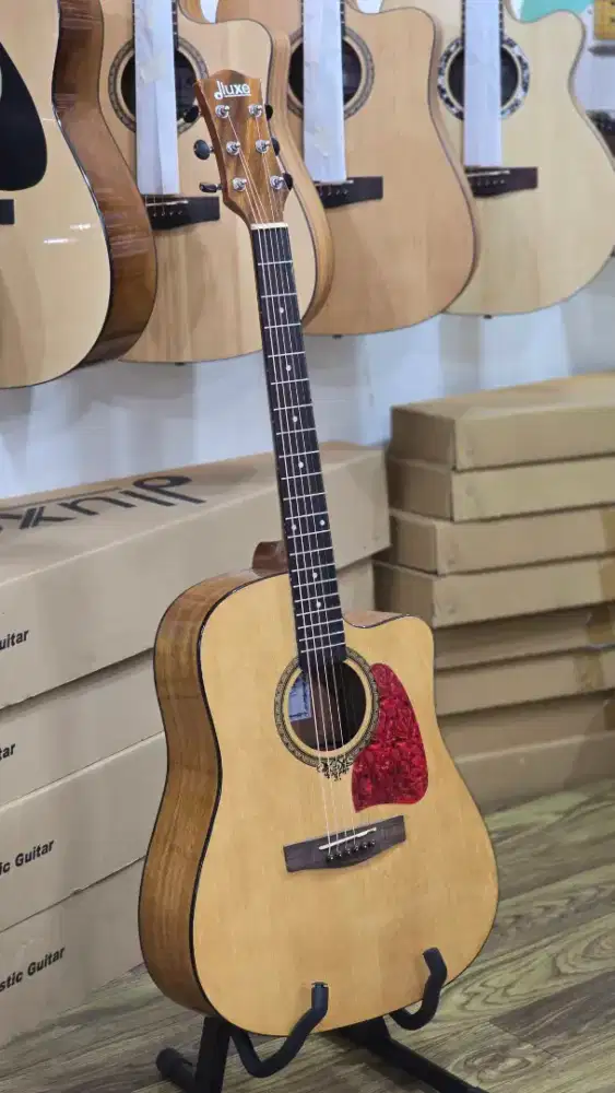 Gitar Akustik Original Dluxe DW-110 G