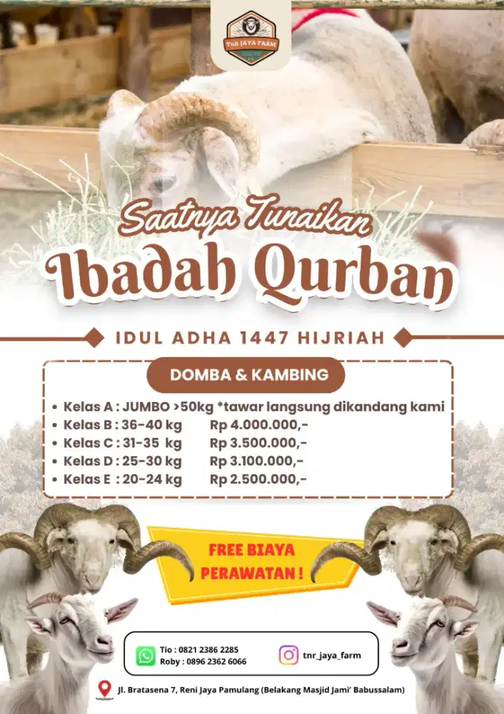 Jual Domba dan Kambing