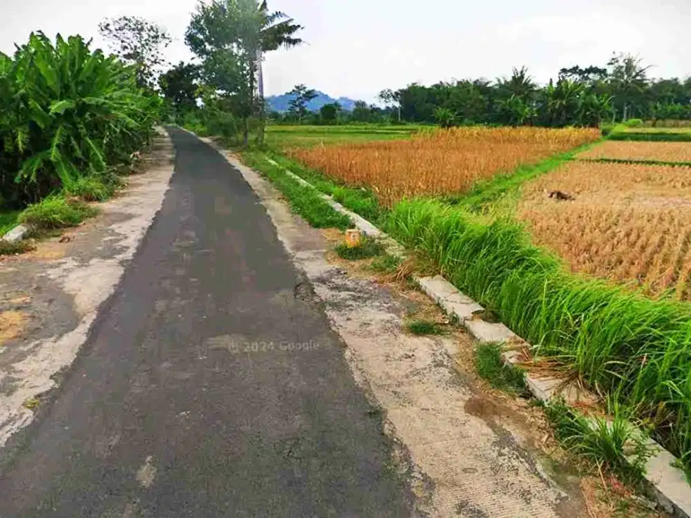 Dijual Tanah Sawah Tepi Jalan Aspal Dekat Jalan Godean Km 9 Yogyakarta