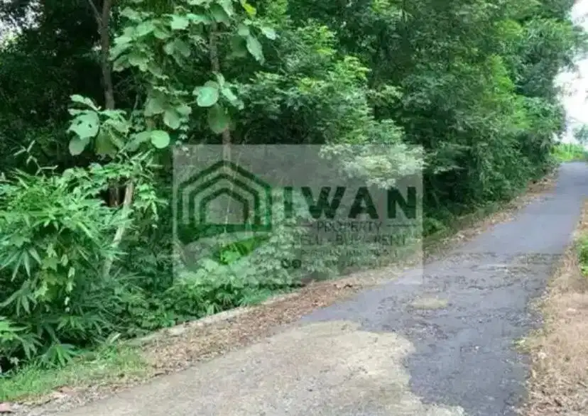 Tanah Pekarangan Luas & Murah Hadap Jalan Lebar