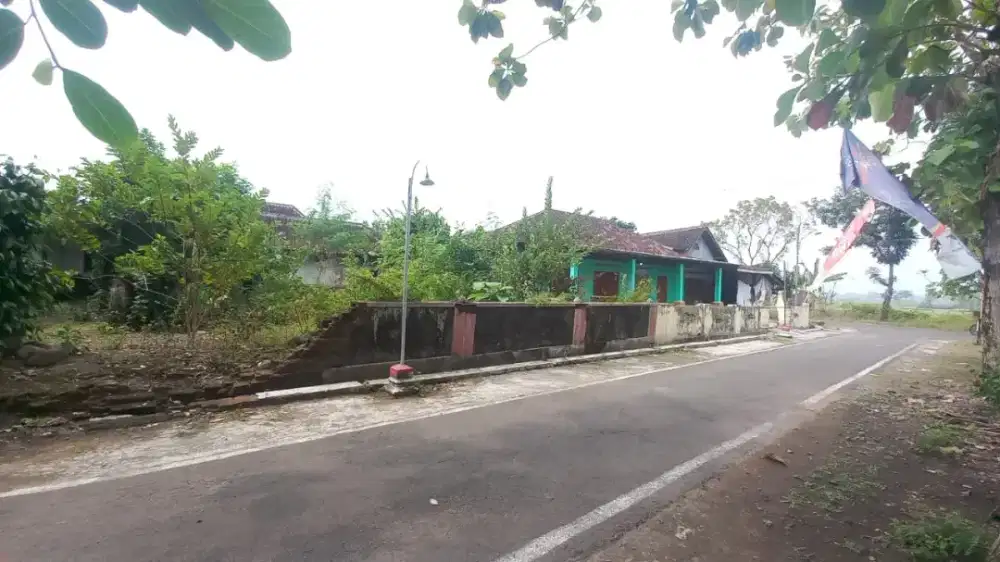 Dijual Tanah Luas & Murah Bonus Bangunan Kuno