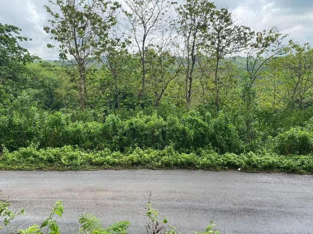 DIJUAL TANAH DI PEGUNUNGAN