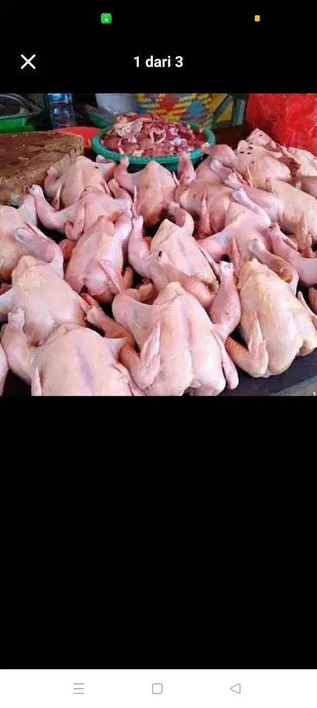 Menjual Daging Ayam Broiler Karkas Berar Per Kilogram