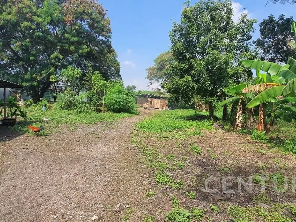 Jarang Ada.. Tanah Padat Di Mainroad Terusan Jakarta Antapani  Bandung