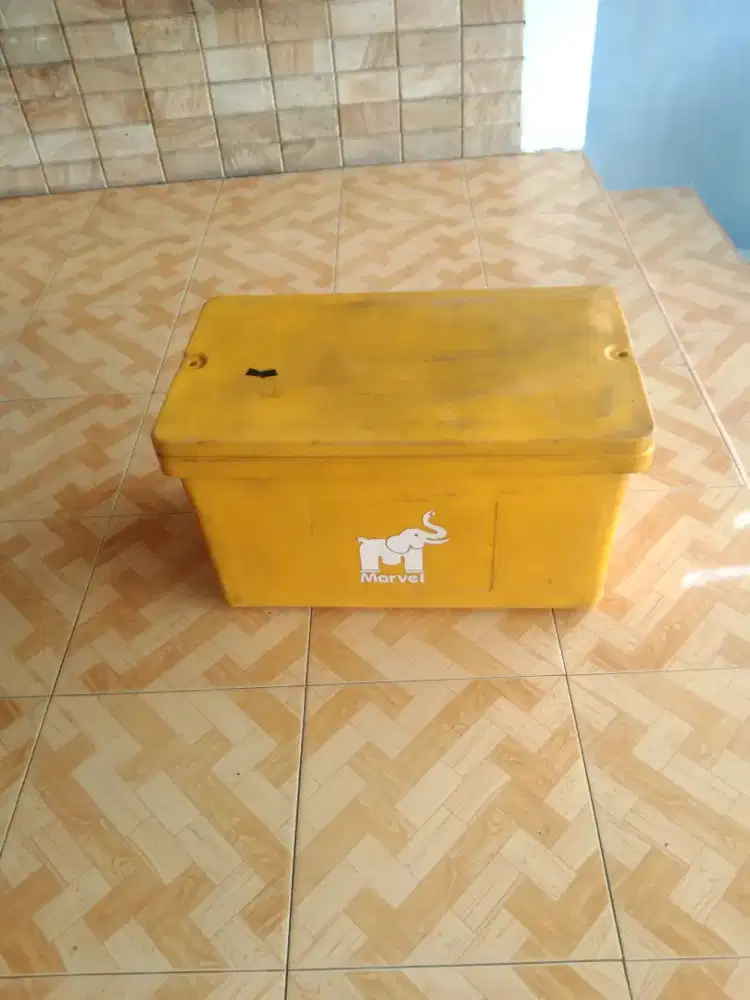 Box es (ice cooler)