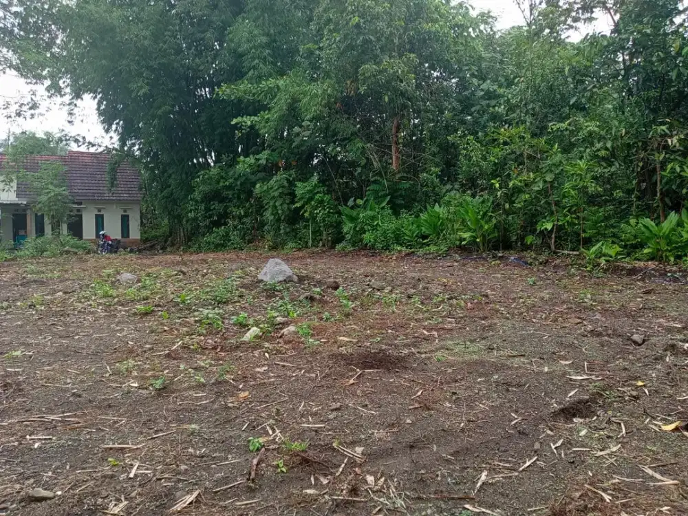 Kelewat Murah! Tanah Kavling SHM Pecah Dekat Jalan Magelang